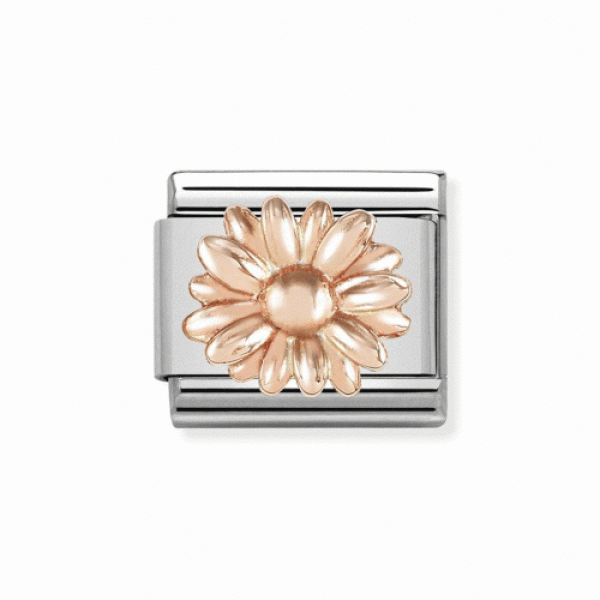 Nomination Σύνδεσμος Ροζ Χρυσή Μαργαρίτα 430106/08