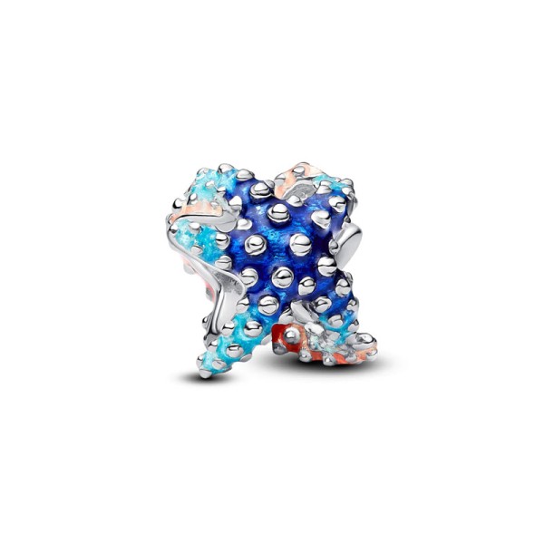 Pandora Γούρι Πολύχρωμος Αστερίας 793817C01 Pandora Γούρι Πολύχρωμος Αστερίας 793817C01