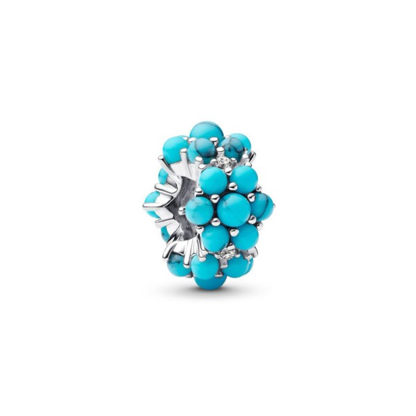 Pandora Γούρι Κοράλι Τιρκουάζ 793897C02 Pandora Γούρι Κοράλι Τιρκουάζ 793897C02