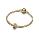 Pandora Ανεμόμυλος Γούρι 764631C01