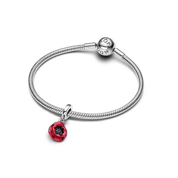 Pandora Σύμβολο 793917C01