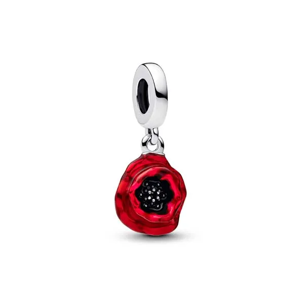 Pandora Σύμβολο 793917C01