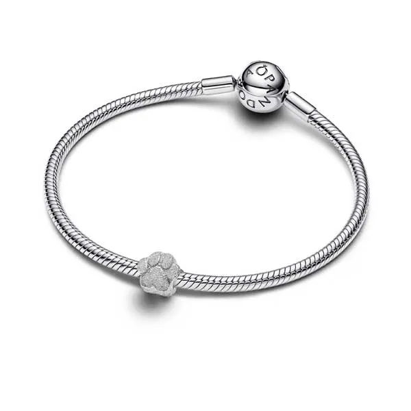 Pandora Σύμβολο Πατούσα Ασημί 794043C00