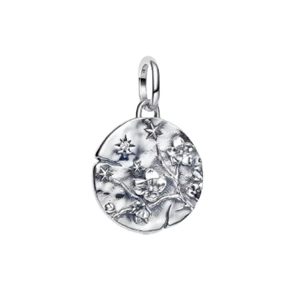 Pandora Σύμβολο Λουλούδια Ασημί 794085C01