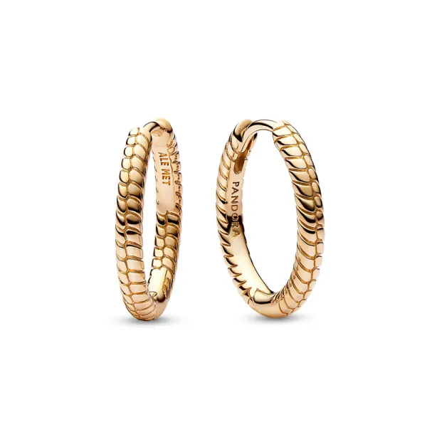 Pandora Σκουλαρίκια με επίστρωση χρυσού 14Κ, κρίκοι 262728C00