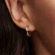 Pandora Σκουλαρίκια 263880C00
